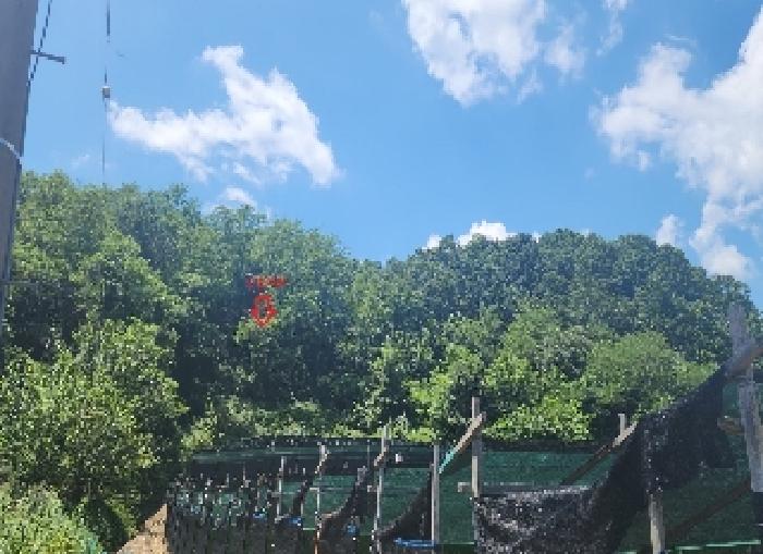 충북 옥천군 청성면 전답 경매 물건 사진