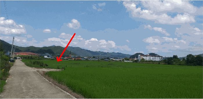 충북 옥천군 이원면 답 경매 물건 사진 5 · 2025타경10187