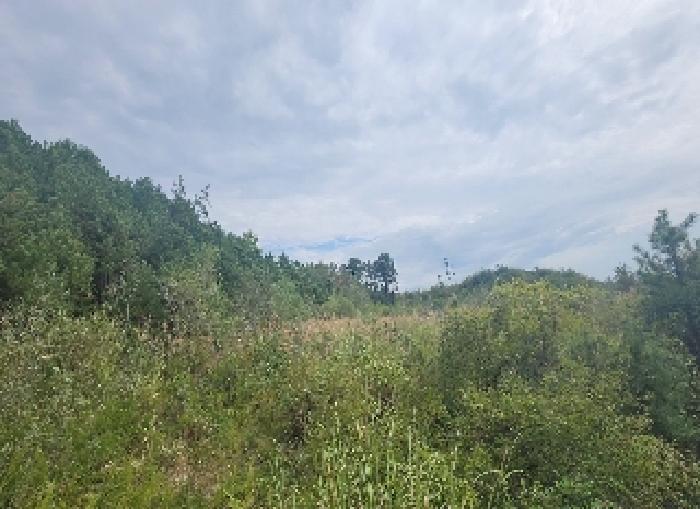 충북 영동군 용산면 전 경매 물건 사진 4 · 2025타경10208