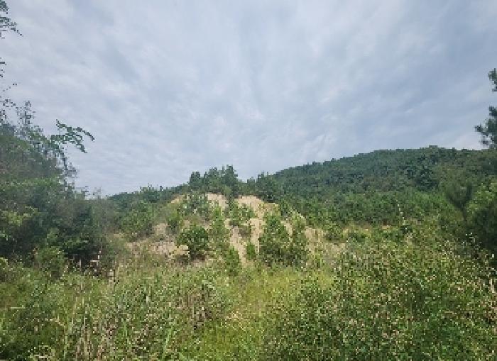 충북 영동군 용산면 전 경매 물건 사진 5 · 2025타경10208