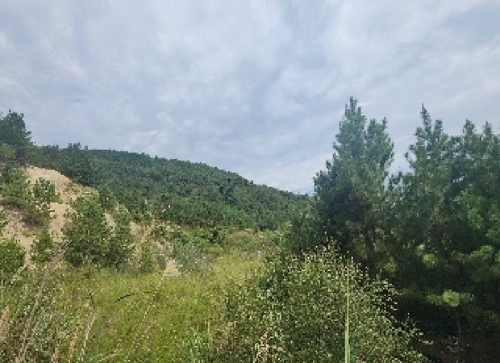충북 영동군 용산면 전 경매 물건 사진 6 · 2025타경10208