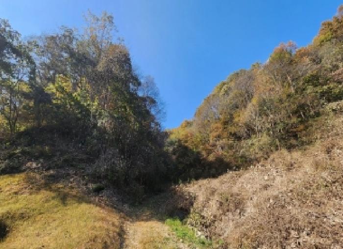 충북 옥천군 안내면 전 경매 물건 사진 4 · 2025타경10230