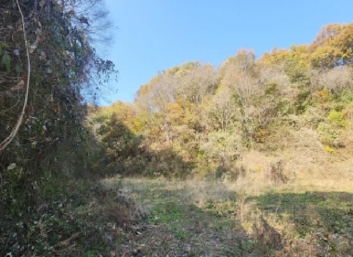 충북 옥천군 안내면 전 경매 물건 사진 5 · 2025타경10230