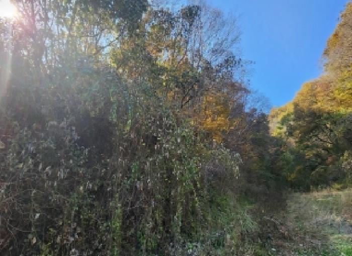 충북 옥천군 안내면 전 경매 물건 사진 6 · 2025타경10230