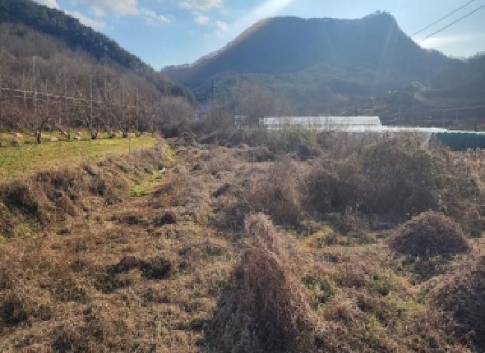 충북 영동군 용산면 전답 경매 물건 사진