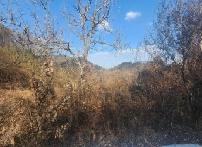 충북 영동군 용산면 전답 경매 물건 사진 3 · 2025타경10249