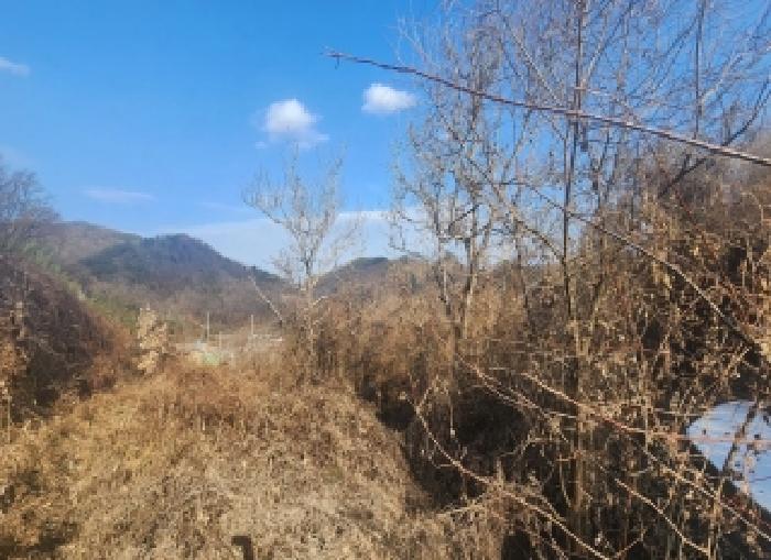 충북 영동군 용산면 전답 경매 물건 사진 4 · 2025타경10249