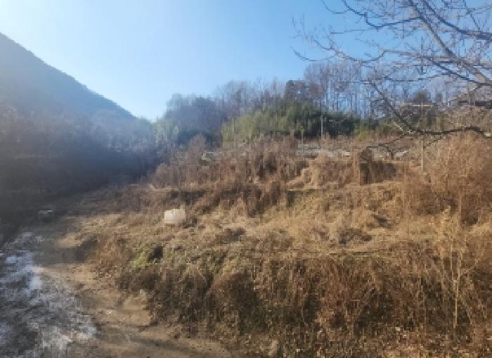 충북 영동군 용산면 전답 경매 물건 사진 5 · 2025타경10249