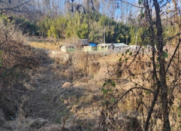 충북 영동군 용산면 전답 경매 물건 사진 6 · 2025타경10249