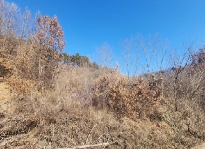충북 옥천군 동이면 대지,임야,전답 경매 물건 사진 4 · 2025타경10253