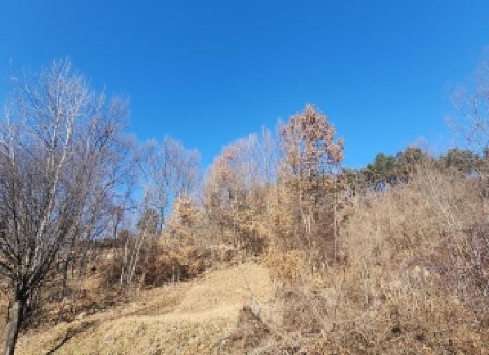 충북 옥천군 동이면 대지,임야,전답 경매 물건 사진 5 · 2025타경10253