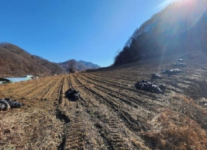 충북 옥천군 안남면 전답 경매 물건 사진 2 · 2025타경10260