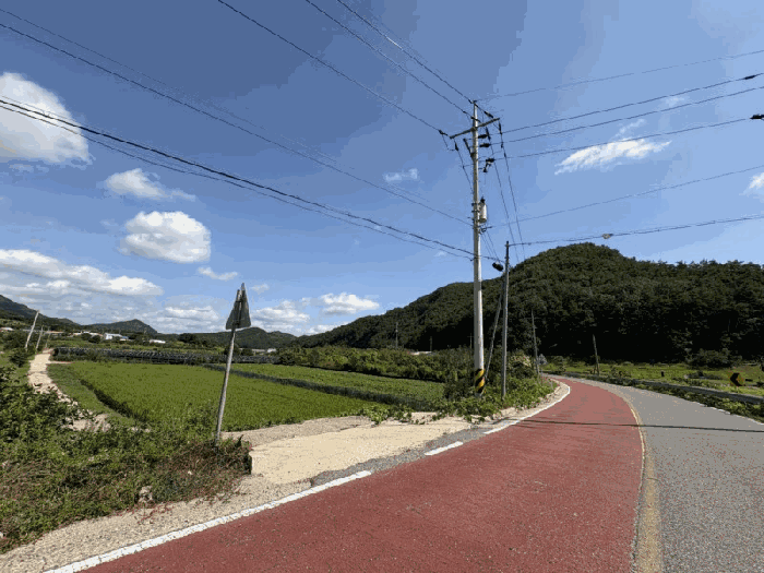 충청북도 영동군 심천면 명천리 8-7 과수원 경매 물건 사진