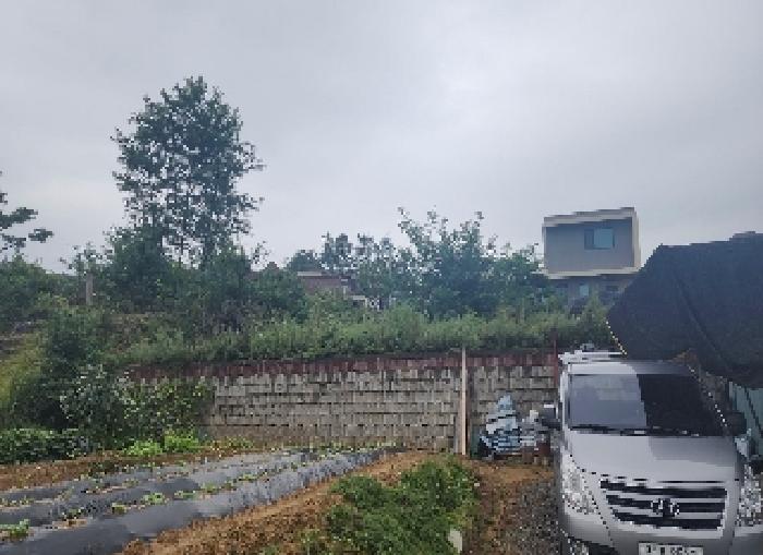 충북 옥천군 옥천읍 임야 경매 물건 사진 3 · 2025타경113