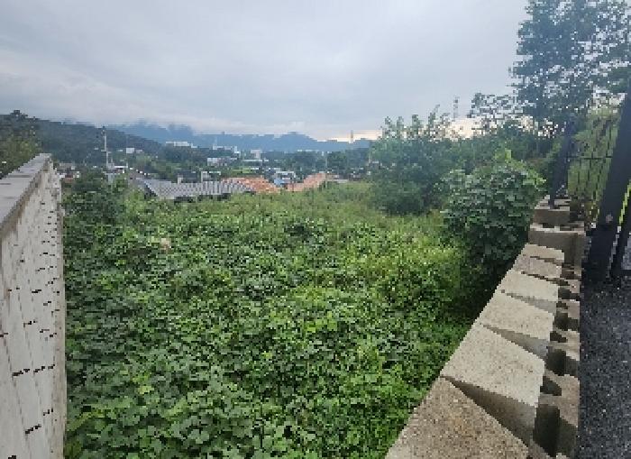 충북 옥천군 옥천읍 임야 경매 물건 사진 4 · 2025타경113