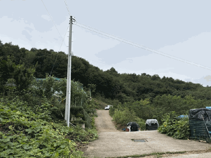 충청북도 옥천군 동이면 금암리 산39-1 전 경매 물건 사진