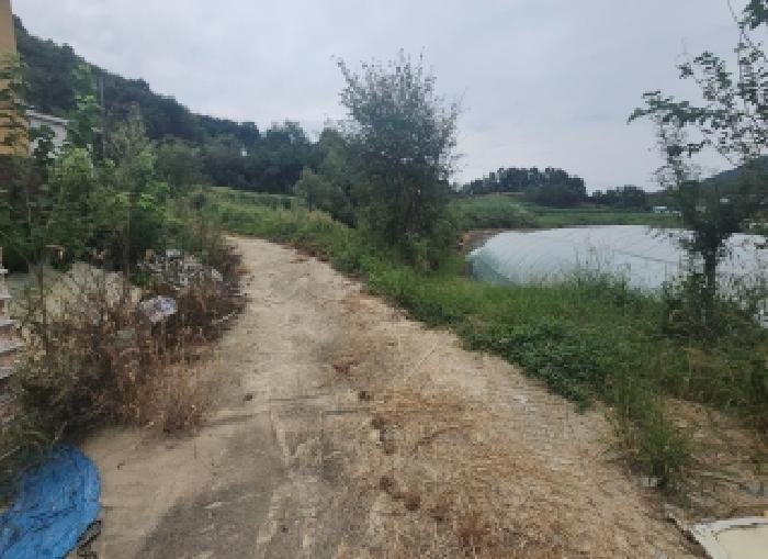 충북 옥천군 동이면 근린생활시설 경매 물건 사진 4 · 2025타경117