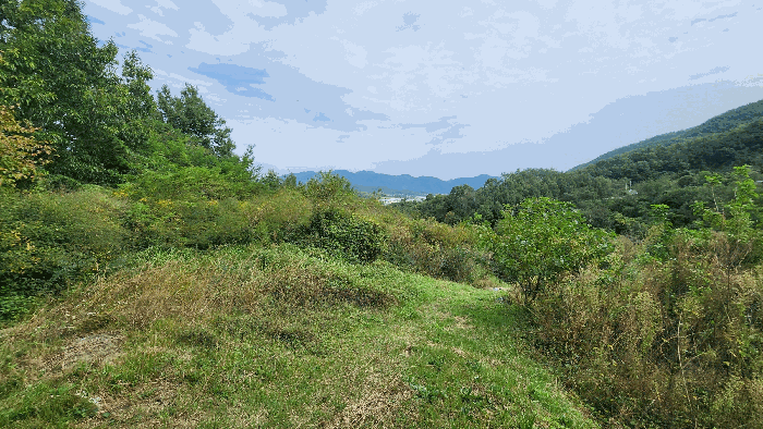 충청북도 옥천군 동이면 세산리 산63-4 임야 경매 물건 사진