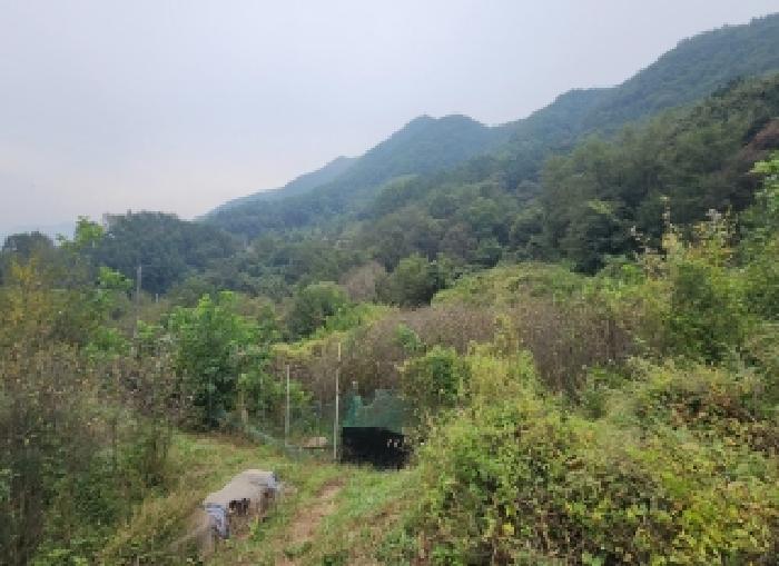 충북 옥천군 동이면 임야 경매 물건 사진 2 · 2025타경118