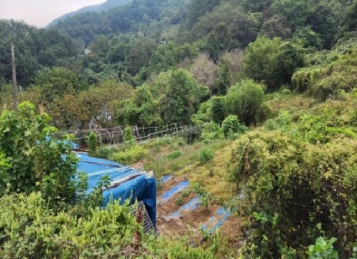 충북 옥천군 동이면 임야 경매 물건 사진 4 · 2025타경118