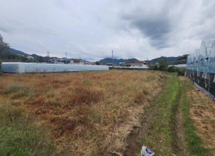 충북 영동군 황간면 전답 경매 물건 사진