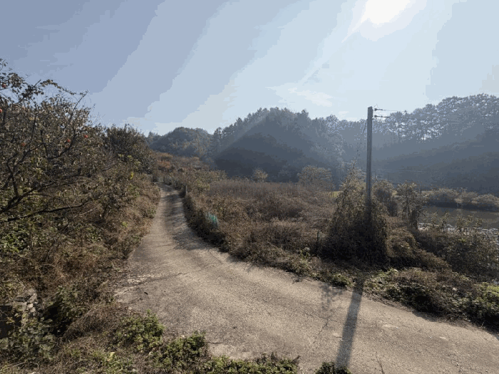 충북 옥천군 군북면 전답 경매 물건 사진 2 · 2025타경124