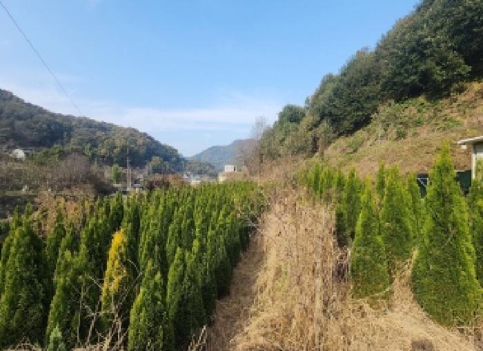 충북 옥천군 군북면 전답 경매 물건 사진 3 · 2025타경126