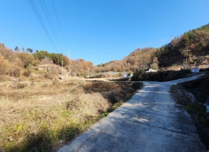 충북 옥천군 이원면 전답 경매 물건 사진
