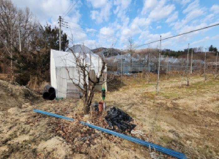 충북 옥천군 동이면 과수원 경매 물건 사진 4 · 2025타경134