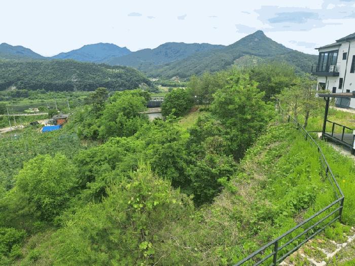 충청북도 영동군 양강면 묵정리 228-2 답 경매 물건 사진