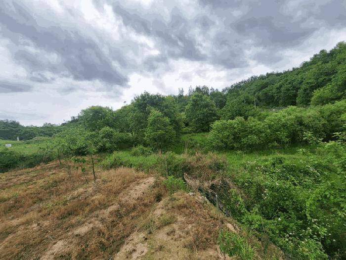 충북 영동군 양산면 전 경매 물건 사진 6 · 2025타경70