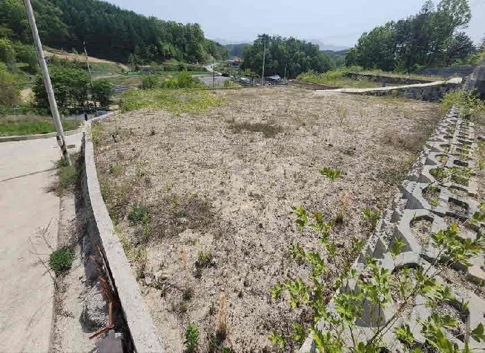 충북 옥천군 동이면 도로 경매 물건 사진 5 · 2025타경71