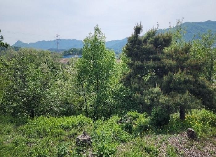 충북 옥천군 청성면 전 경매 물건 사진
