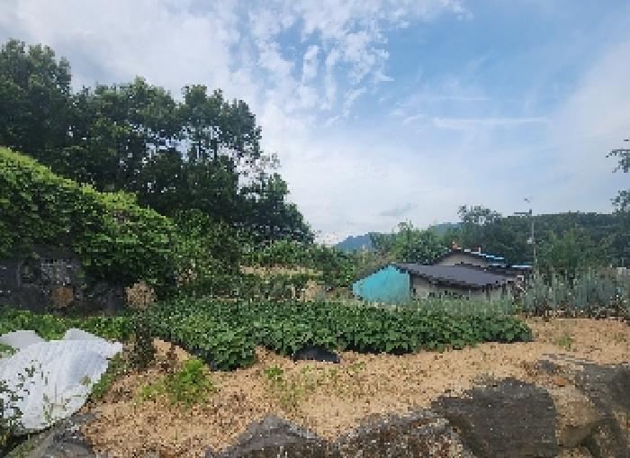 충북 옥천군 동이면 임야 경매 물건 사진
