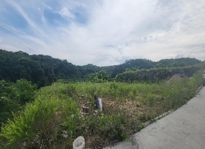 충북 옥천군 동이면 임야 경매 물건 사진 3 · 2025타경88
