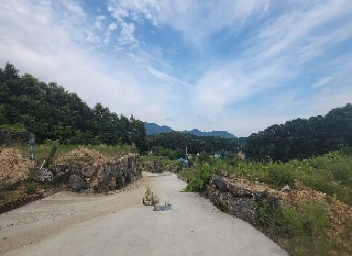 충북 옥천군 동이면 임야 경매 물건 사진 6 · 2025타경88