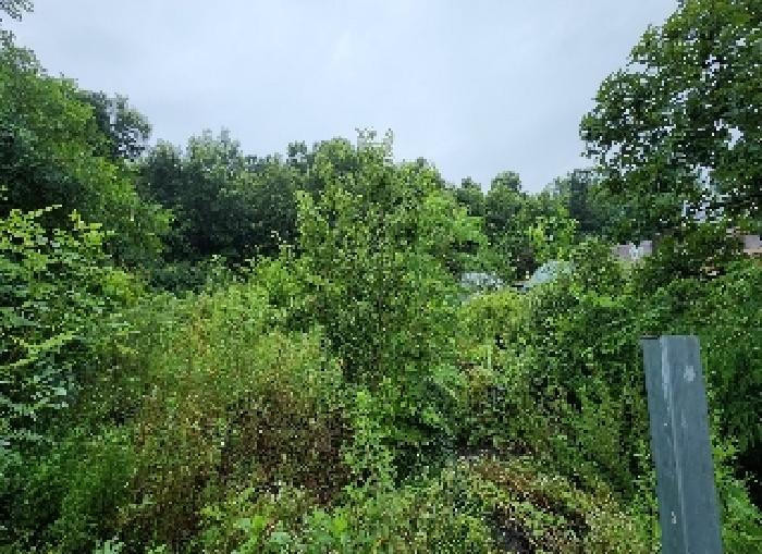 충북 영동군 용산면 전답 경매 물건 사진