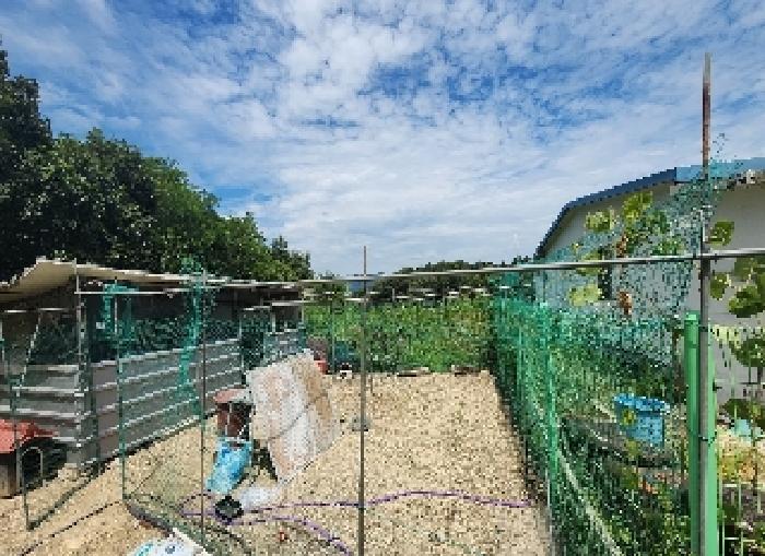 충북 옥천군 청산면 단독주택 경매 물건 사진 4 · 2025타경94