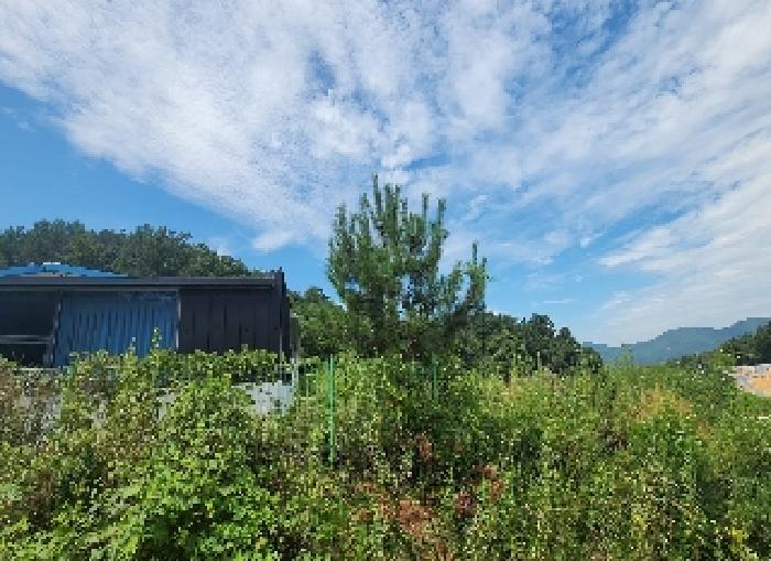 충북 옥천군 청산면 단독주택 경매 물건 사진 5 · 2025타경94