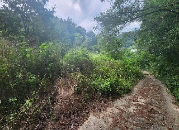 충북 영동군 양산면 과수원 경매 물건 사진