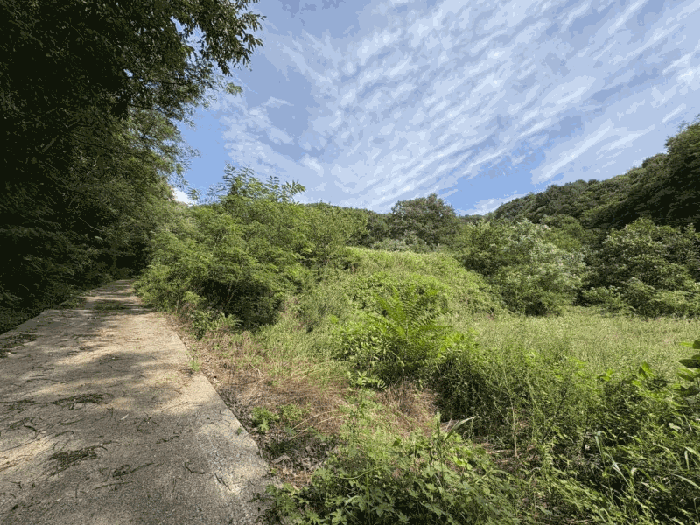 충북 영동군 양산면 과수원 경매 물건 사진 5 · 2025타경97