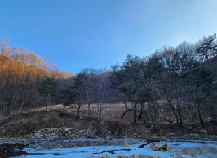 충북 영동군 용화면 전답 경매 물건 사진