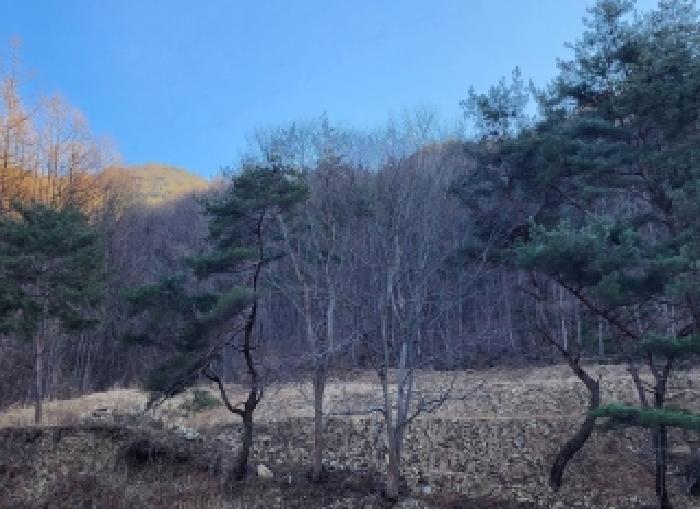 충북 영동군 용화면 전답 경매 물건 사진 2 · 2026타경10005