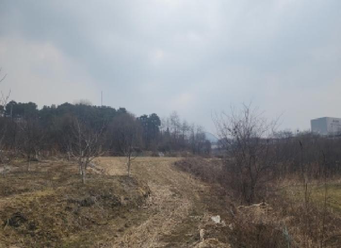 충북 옥천군 옥천읍 전답 경매 물건 사진