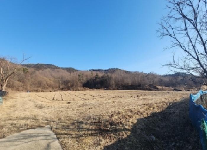 충북 영동군 용산면 전답 경매 물건 사진