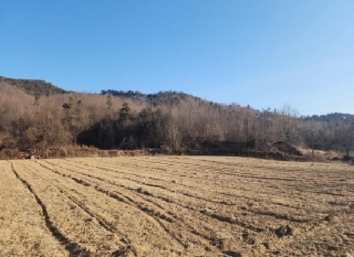 충북 영동군 용산면 전답 경매 물건 사진 2 · 2026타경10012