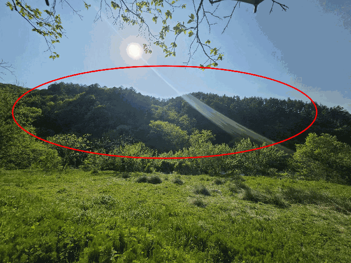 충북 옥천군 청산면 임야 경매 물건 사진 5 · 2026타경10063