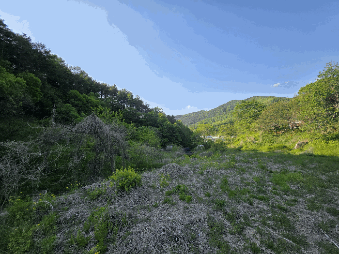 충북 옥천군 청산면 임야 경매 물건 사진 6 · 2026타경10063