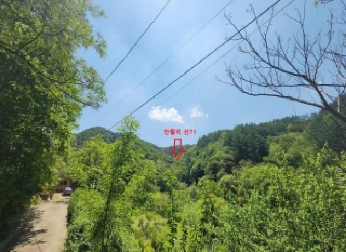 충북 옥천군 청산면 임야 경매 물건 사진