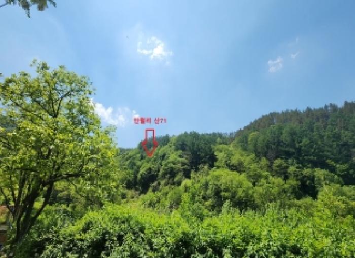 충북 옥천군 청산면 임야 경매 물건 사진 2 · 2026타경10063